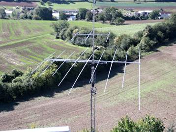 Ein Bild, das drauen, Gras, Pflanze, Baum enthlt.

KI-generierte Inhalte knnen fehlerhaft sein.